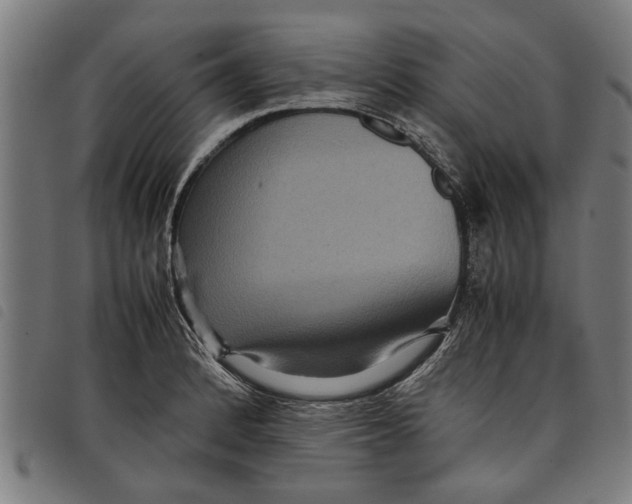 X0000097801184200804041308