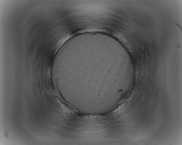 X0000097801185200804041308