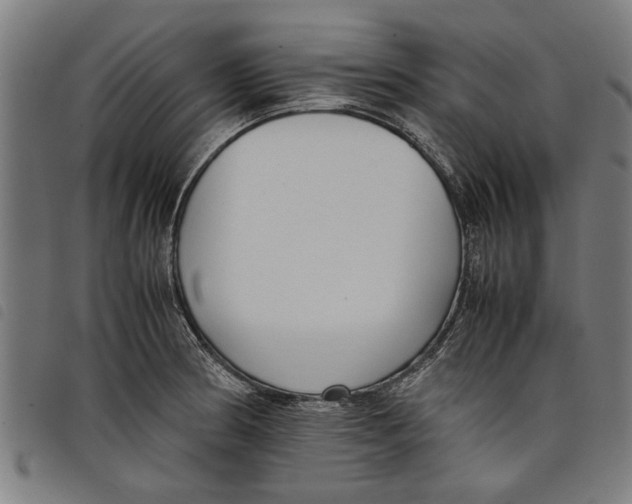 X0000097801186200804041308