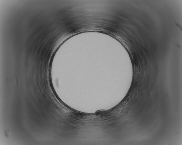 X0000097801187200804041307