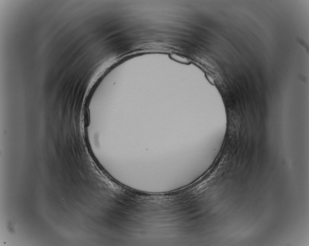 X0000097801188200804041307