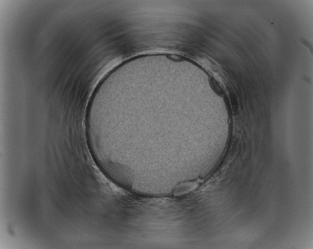 X0000097801189200804041307