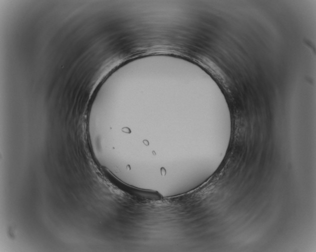 X0000097801190200804041307