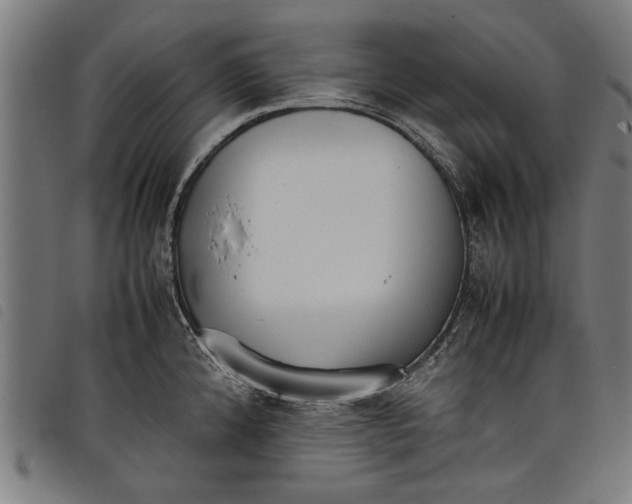 X0000097801192200804041307