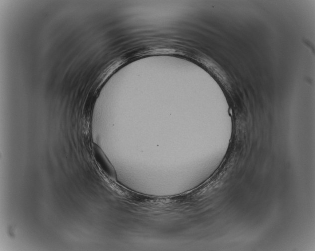 X0000097801193200804041307