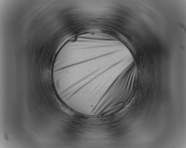 X0000097801194200804041307