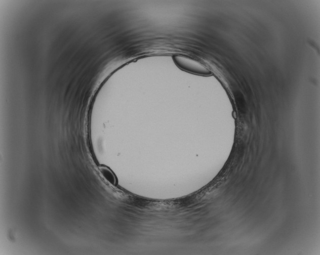 X0000097801195200804041307