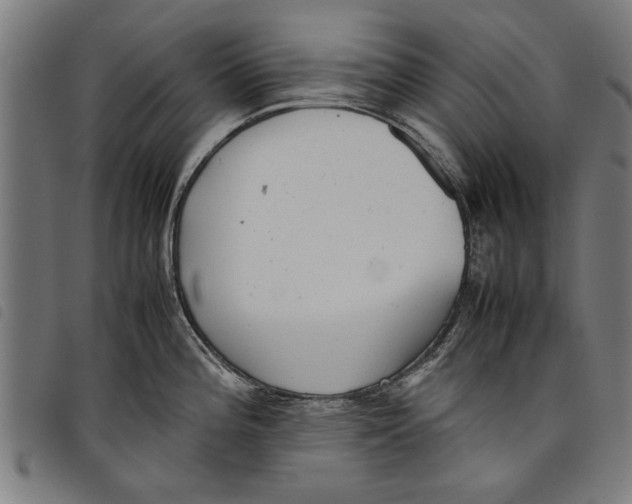 X0000097801196200804041307