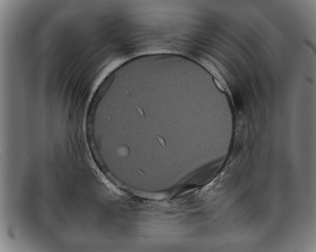 X0000097801197200804041307