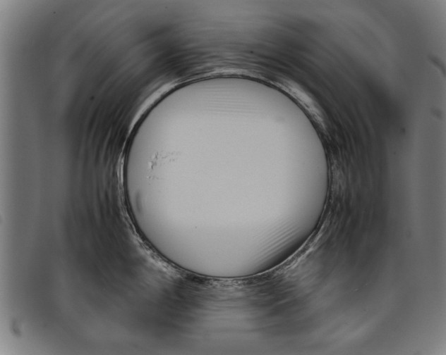 X0000097801198200804041307