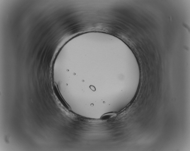 X0000097801200200804041307