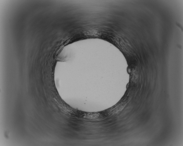 X0000097801201200804041307