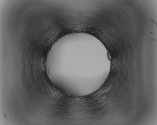 X0000097801202200804041307