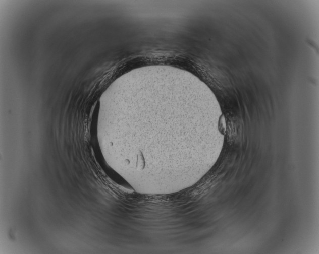 X0000097801204200804041307