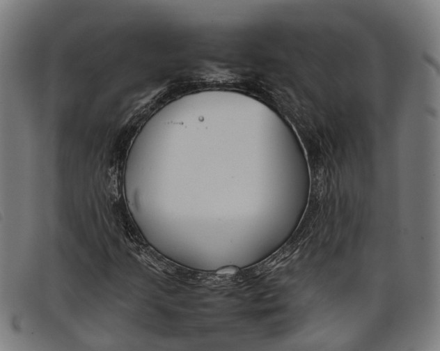 X0000097801205200804041307