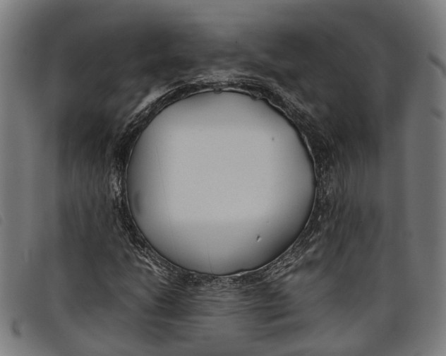 X0000097801206200804041307