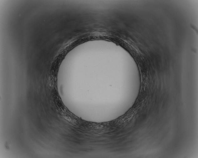 X0000097801207200804041307