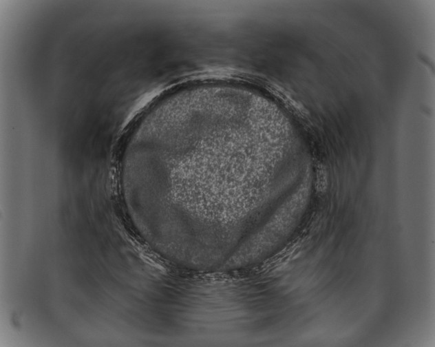 X0000097801208200804041307