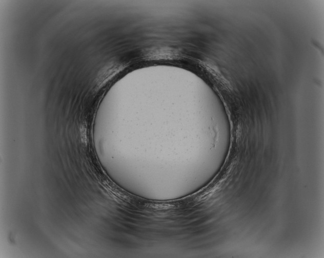 X0000097801209200804041307