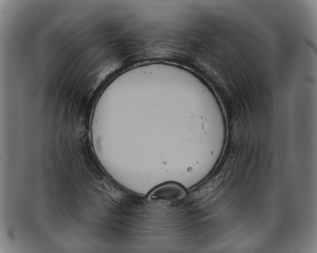 X0000097801210200804041307