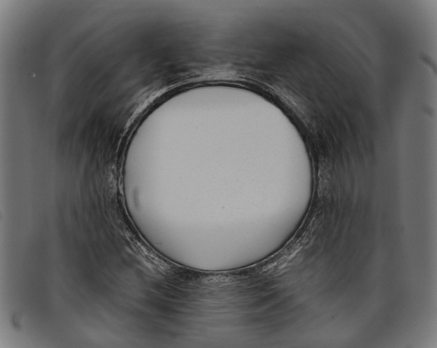 X0000097801212200804041307