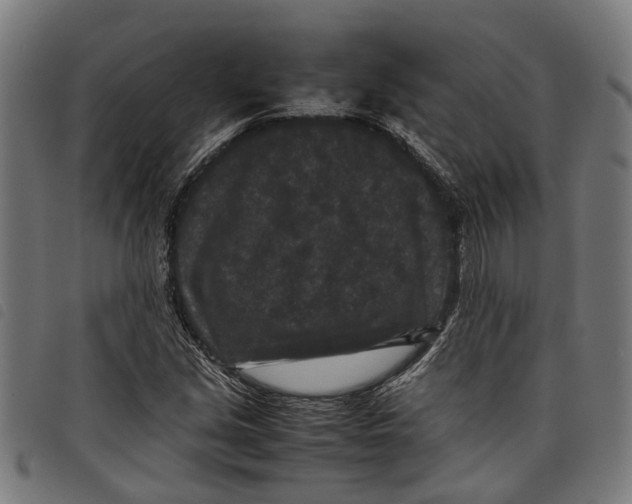 X0000097801213200804041307