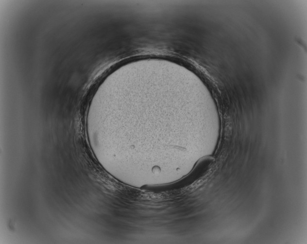 X0000097801215200804041307