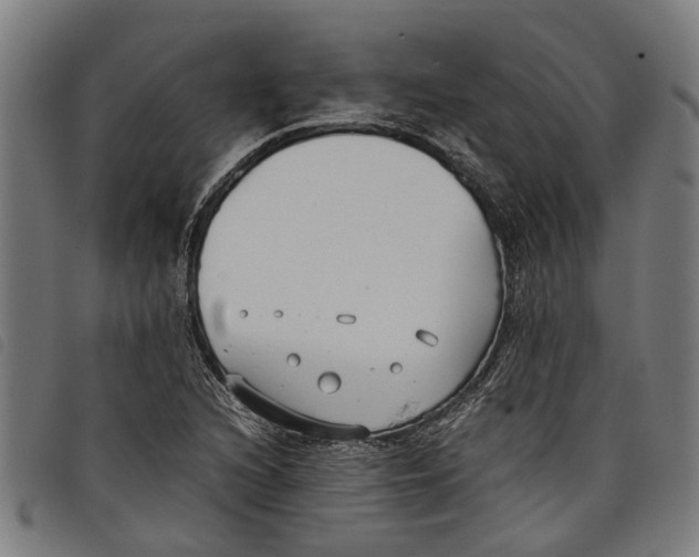 X0000097801216200804041307