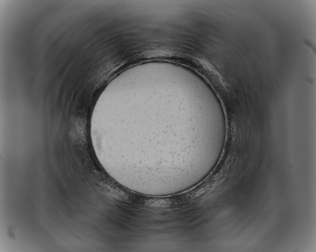 X0000097801217200804041307