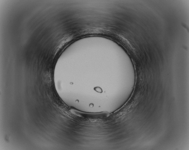 X0000097801218200804041307