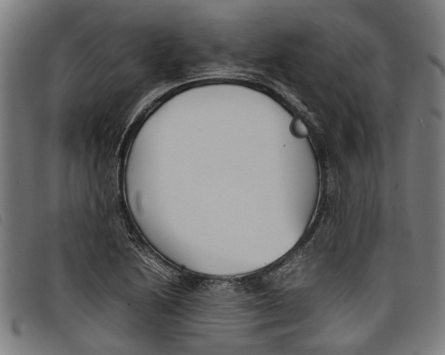 X0000097801222200804041307