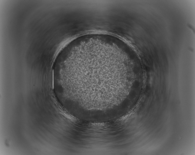 X0000097801223200804041307