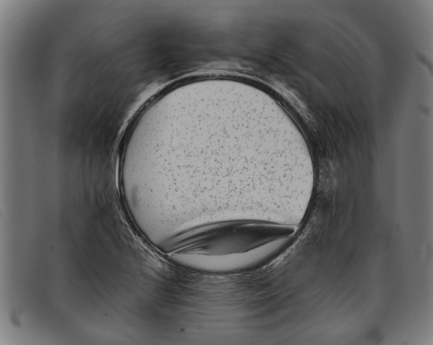 X0000097801224200804041307