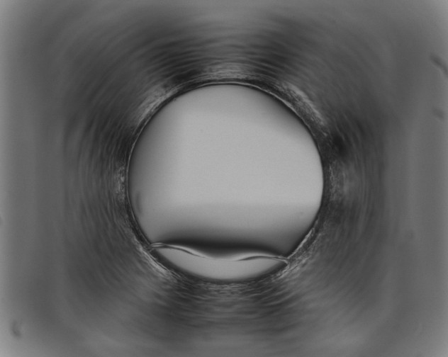 X0000097801225200804041307