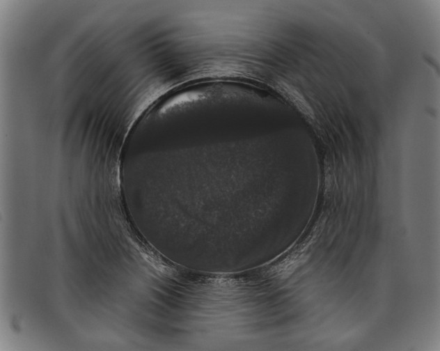 X0000097801226200804041307