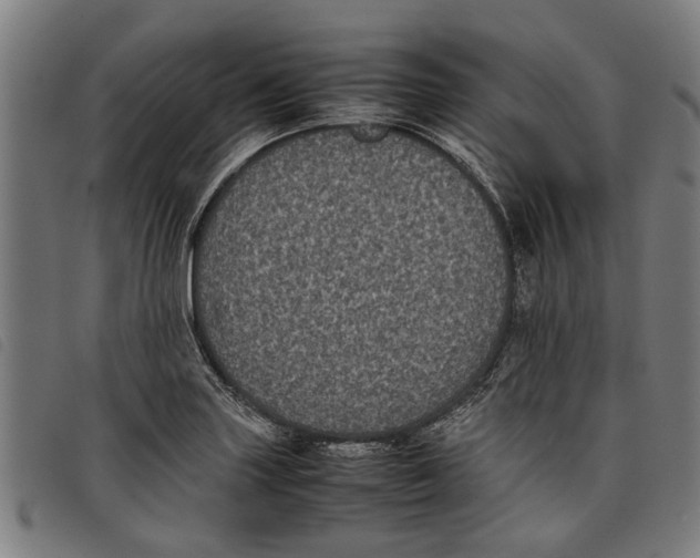 X0000097801227200804041307