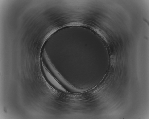 X0000097801229200804041307