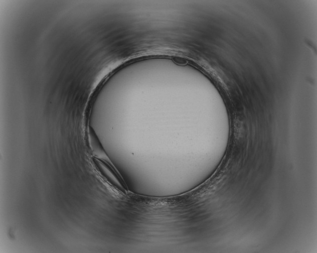 X0000097801230200804041307