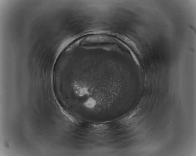 X0000097801231200804041307