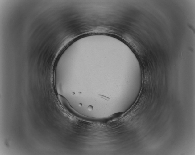 X0000097801232200804041307