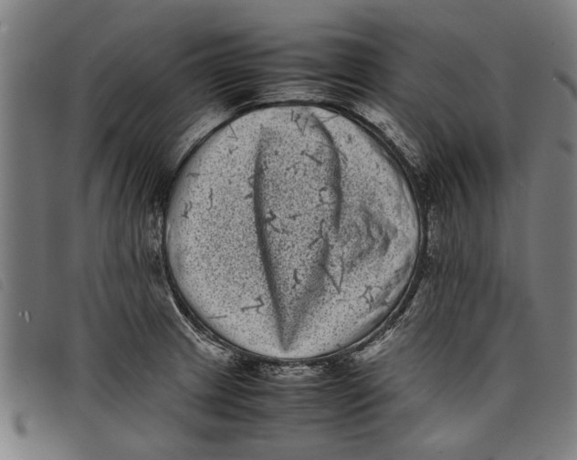 X0000097801233200804041307