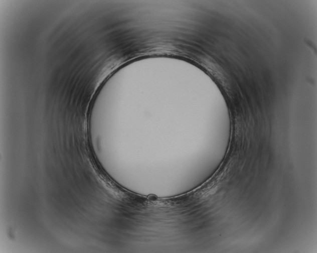 X0000097801234200804041307