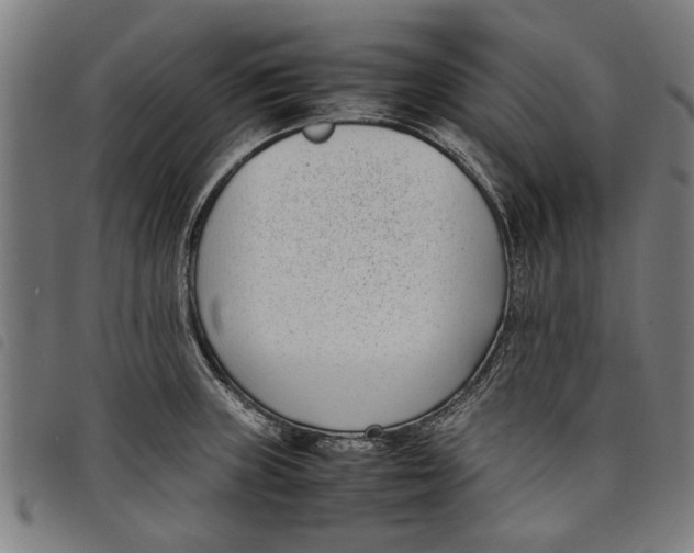 X0000097801235200804041307