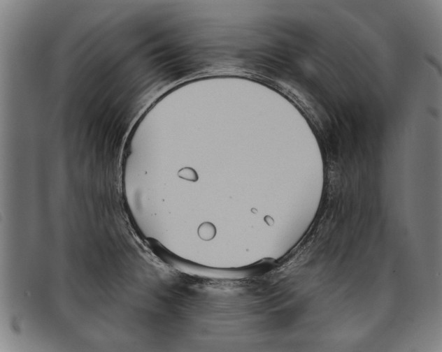 X0000097801236200804041307