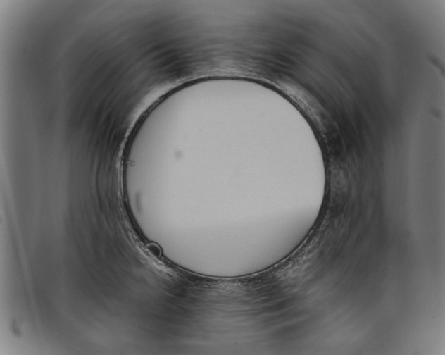 X0000097801238200804041307