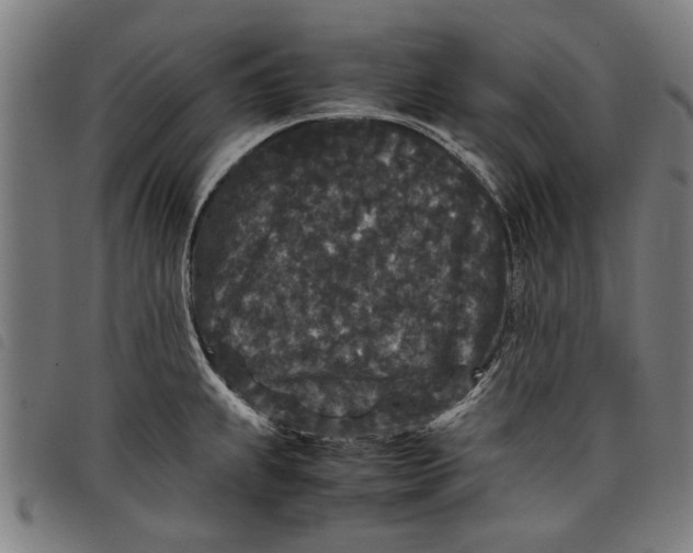 X0000097801239200804041307