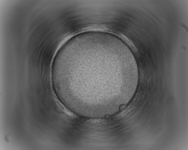 X0000097801240200804041307