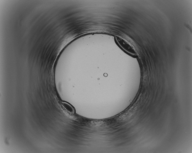 X0000097801242200804041307