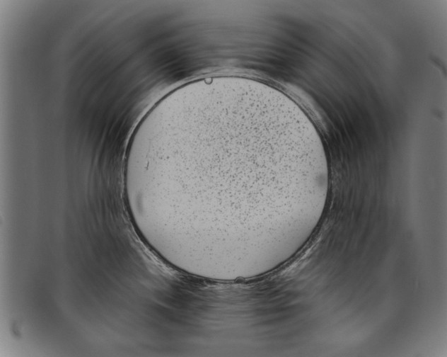 X0000097801244200804041307