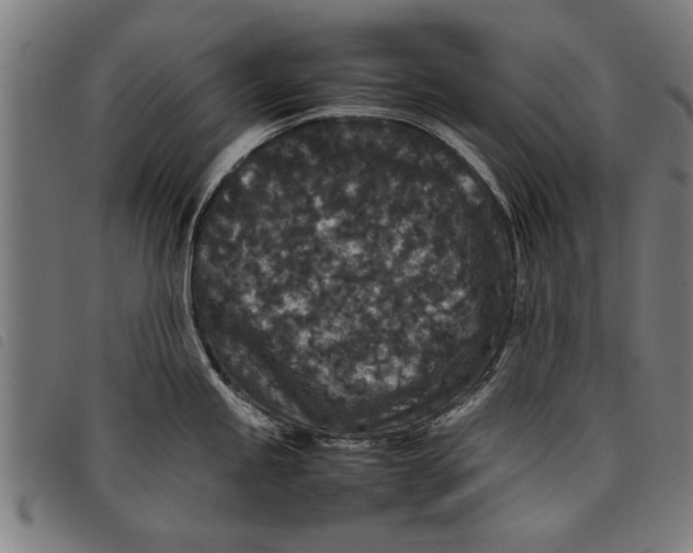 X0000097801245200804041307